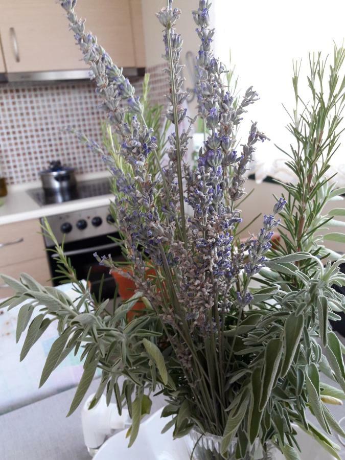 ניאה מודאניה Cozy Apartment Fantastic View מראה חיצוני תמונה